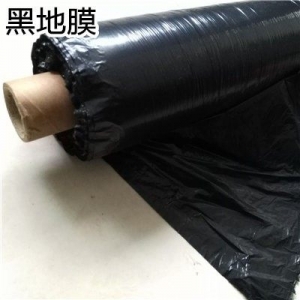 黑色地膜的優勢和缺點分析